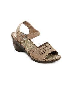 search