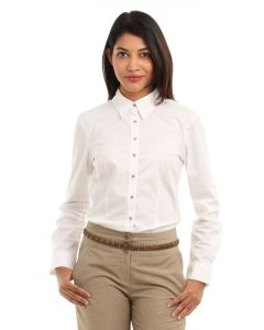 search